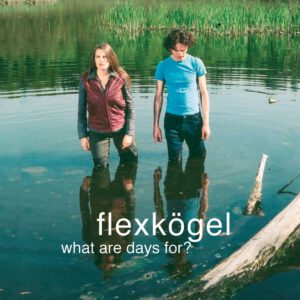 Flexkögel What Are Days For